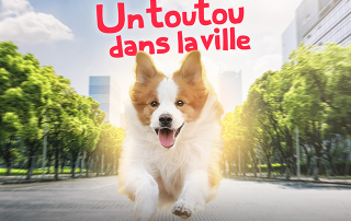 chien en ville