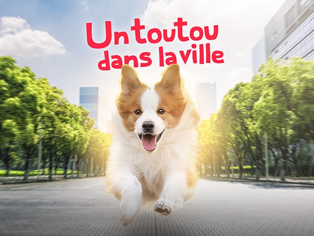 Parc pour chien ou chiot avec toit : la boutique de Lucien