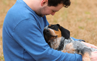 chien dans les bras de son maître