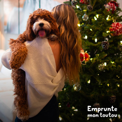 femme tenant un chien dans ses bras près d'un sapin de Noël