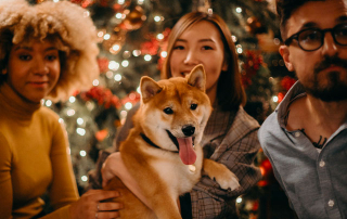 personnes réunies pour Noël en compagnie d'un Shiba