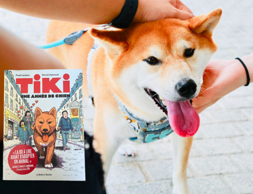 Toutou lecture : Tiki – Une année de chien