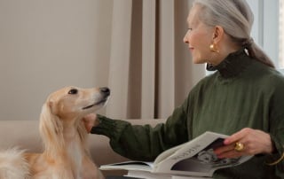 femme âgée caressant un chien de type lévrier