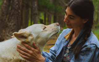 femme regardant un chien blanc