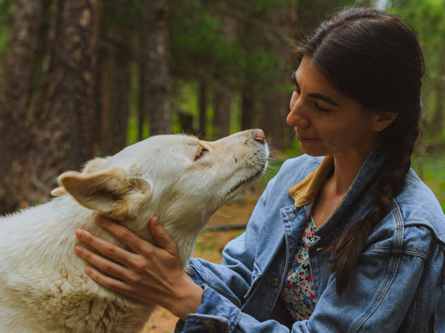 femme regardant un chien blanc