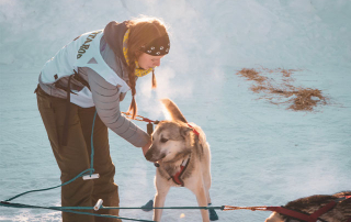 femme préparant son chien pour une course de pulka