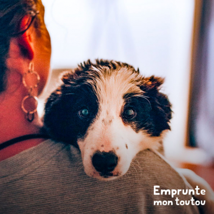 femme tenant un chien dans ses bras