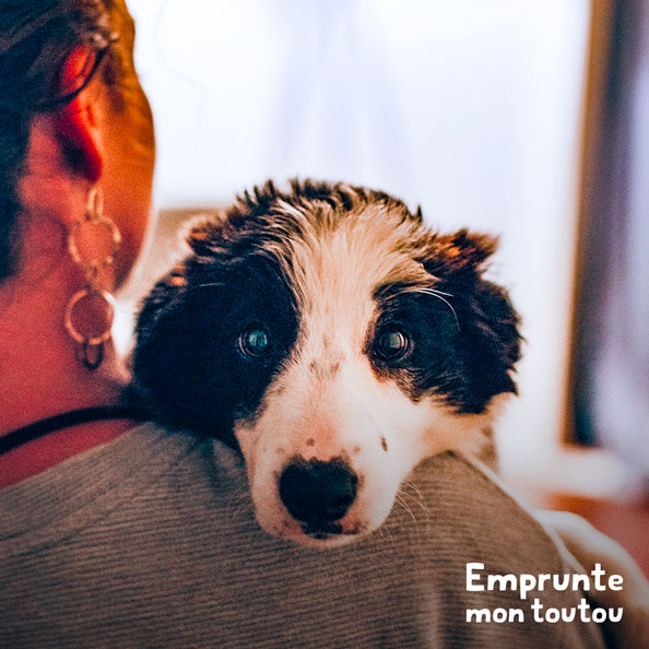 Le langage des toutous pourquoi mon chien me suit partout? • Emprunte Mon toutou