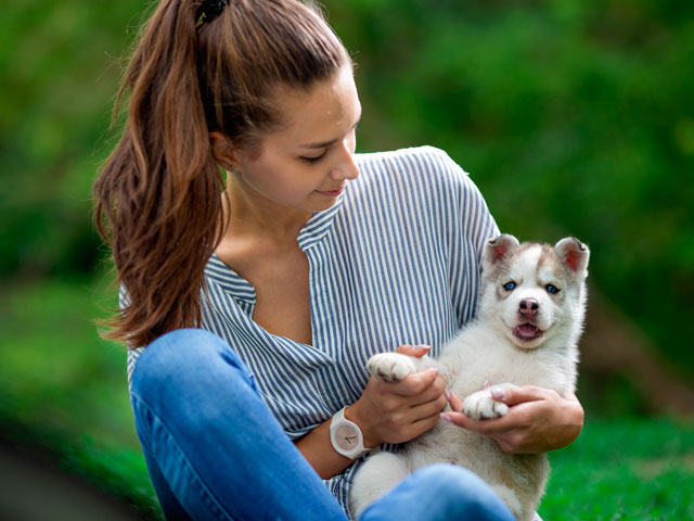 jeune femme tenant un chiot husky dans ses bras