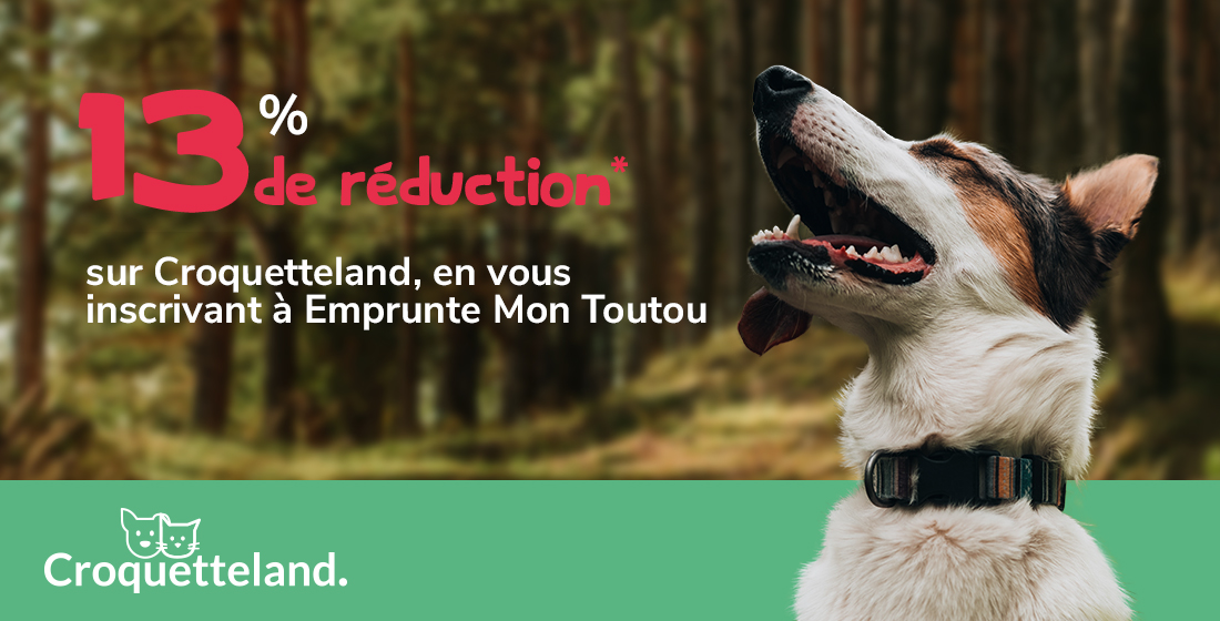 Code Promo Croquetteland 13 • Emprunte Mon toutou