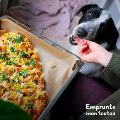 personne donnant des restes de tables à son chien