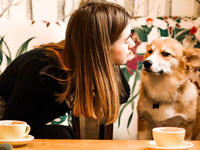 jeune femme prenant un thé en compagnie d'un chien