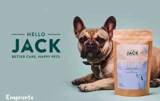 chien bouledogue français posant pour la marque Hello Jack