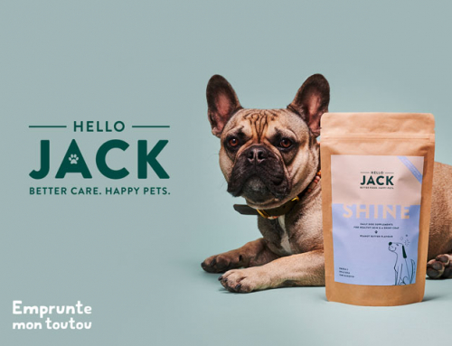Prenez soin de la santé de votre toutou avec Hello Jack !