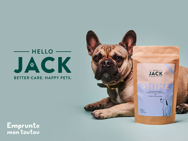 chien bouledogue français posant pour la marque Hello Jack