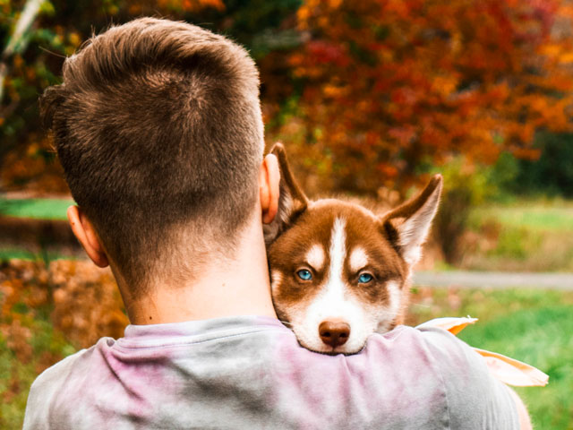 homme portant un chiot husky