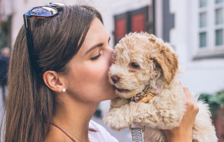 femme embrassant le chiot qu'elle garde