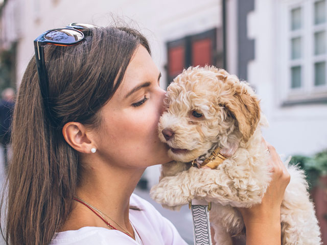 femme embrassant le chiot qu'elle garde