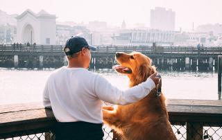 homme gardant un chien en plein air