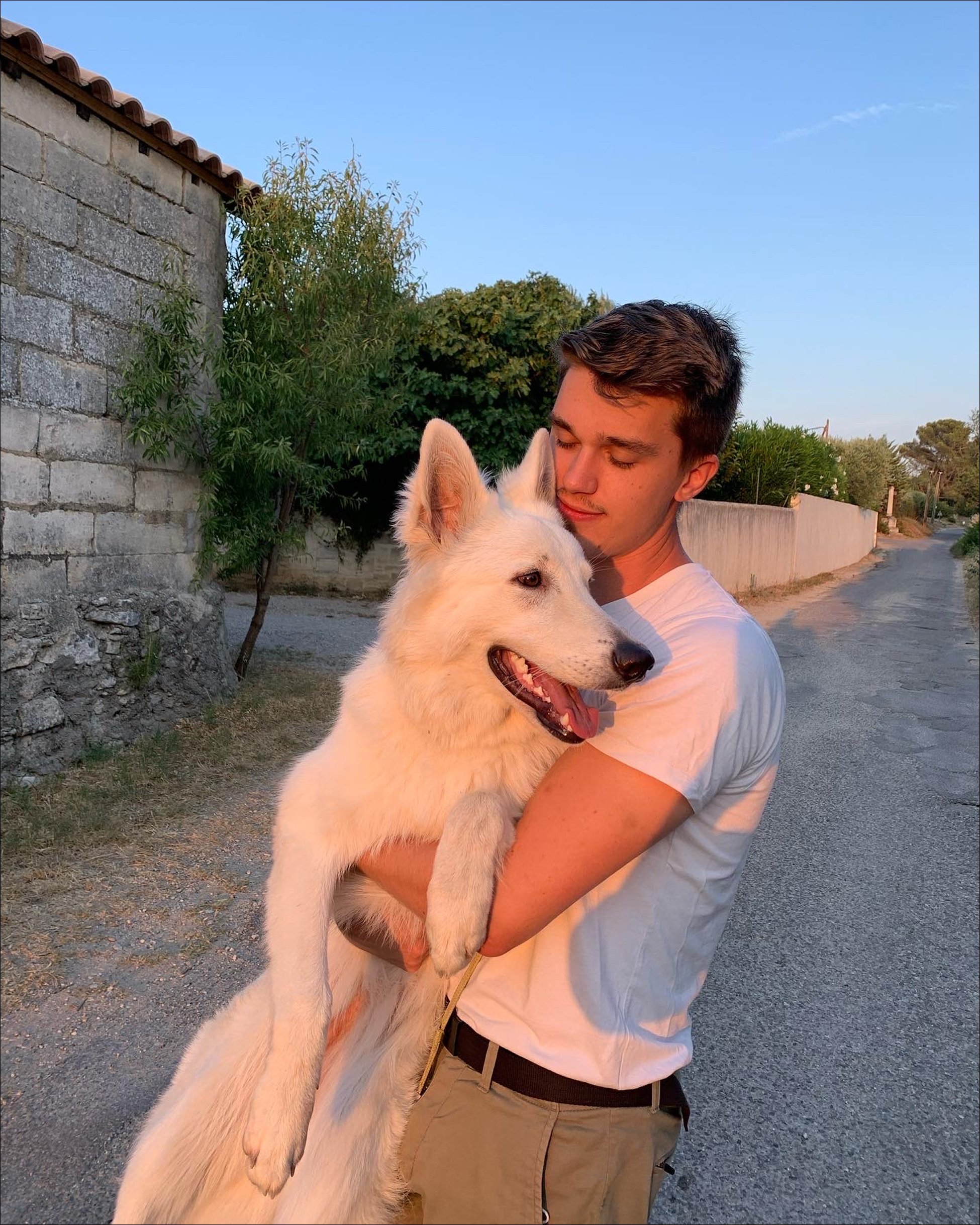 Photo de toutou
