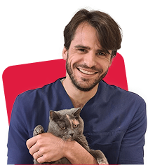 Dr Guerric Radière tenant un chat