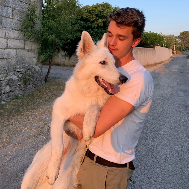 Photo de toutou